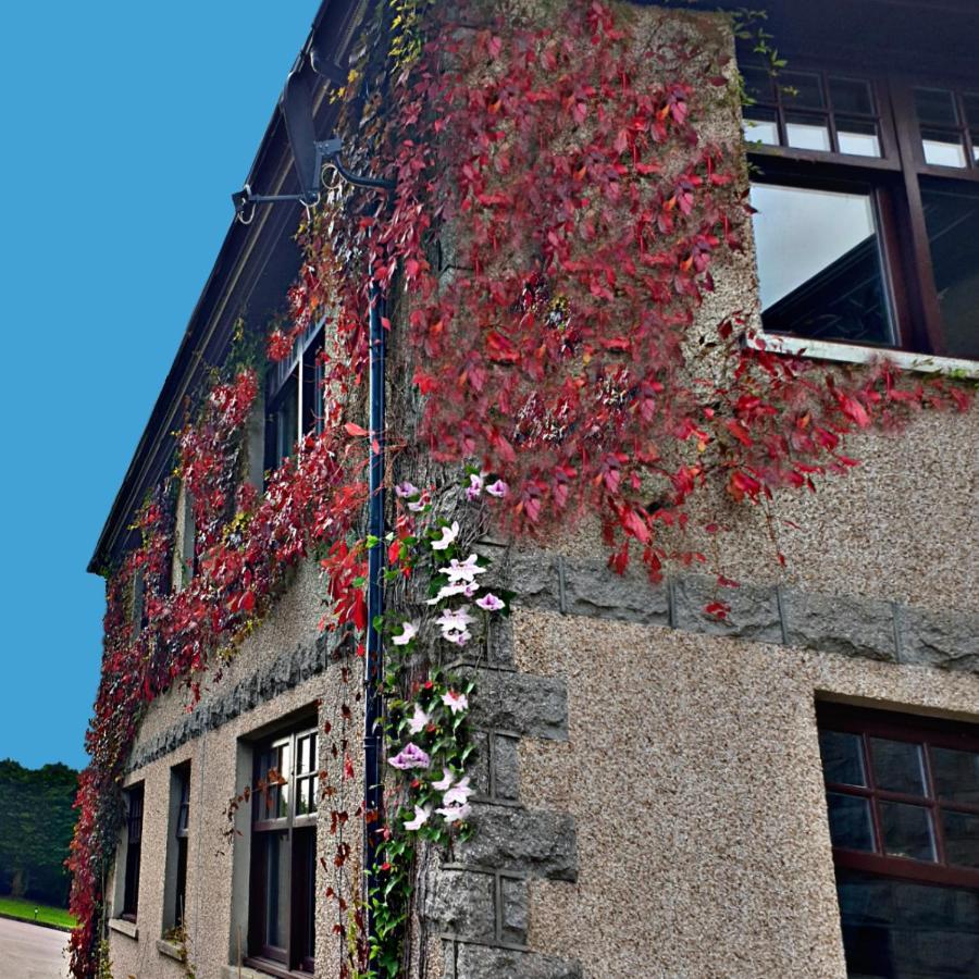 ホテル Bogenraith House バンチョリー エクステリア 写真